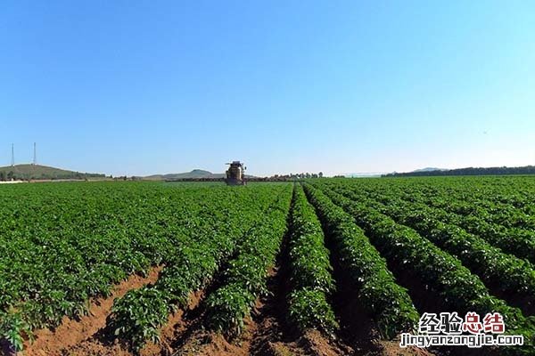 集体土地转让给非本村人怎么办手续 集体土地转让给非本村人
