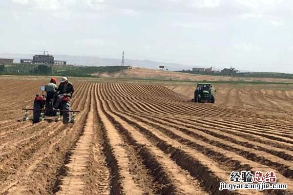 集体土地转让给非本村人怎么办手续 集体土地转让给非本村人