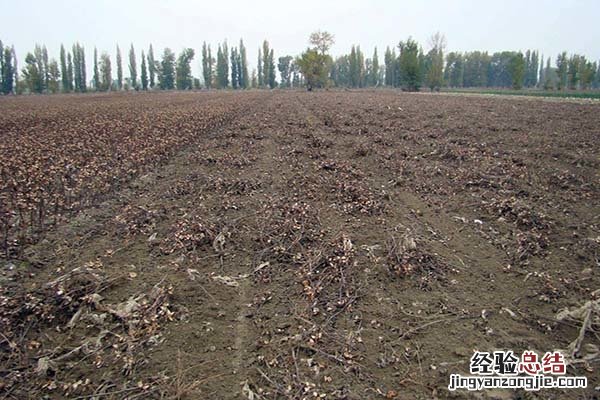 集体土地转让给非本村人怎么办手续 集体土地转让给非本村人