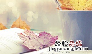 示意图是什么意思? 示意图是什么意思