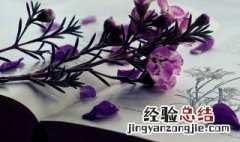 有关思想与行动的名言警句 有关思想与行动的名言