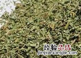 石榴叶茶的功效与作用 石榴叶茶的功效与作用及食用方法