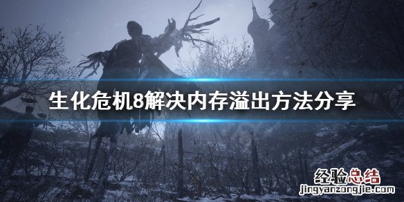 生化危机8该内存不能为written怎么办
