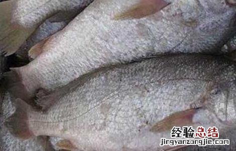 白姑鱼是海里的吗 白姑鱼是海里的吗能吃吗
