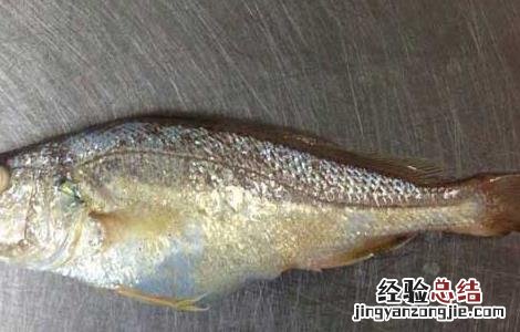 白姑鱼是海里的吗 白姑鱼是海里的吗能吃吗