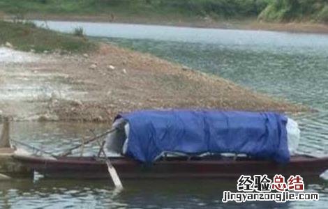用猪粪养鱼猪粪怎么处理 猪粪养鱼技术