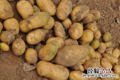 夏季种什么庄稼 冬天适合栽什么庄稼