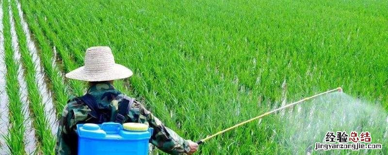 多菌灵的作用和用途正确使用方法，浸泡植物根部要多少时间