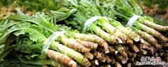 莴笋从定植到采收多少天 莴笋种植技术，多久能收获