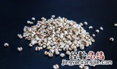 喝薏米水的功效与作用 喝薏米水的好处