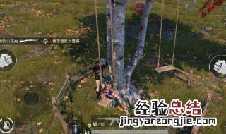 和平精英秋千在哪 应该怎么去呢