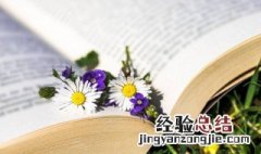 蒙古包的拼音 蒙古包的拼音及解释