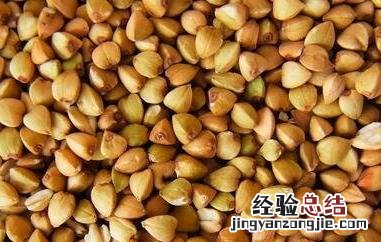 荞麦不能和什么一起吃 荞麦不能和什么一起吃中毒