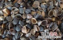 荞麦壳的功效与作用 苦荞麦壳的功效与作用