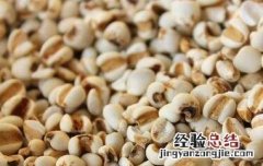薏仁米的功效与作用及禁忌 薏仁米的功效与作用及禁忌功效与作用的功效