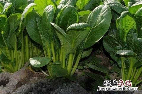 一年四季的农事有什么 你知道一年四季农民的农事的嘛