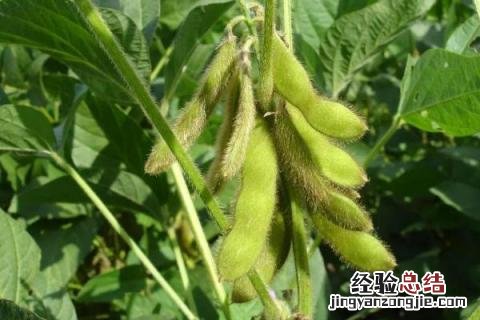 一年四季的农事有什么 你知道一年四季农民的农事的嘛