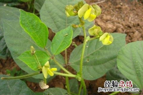 一年四季的农事有什么 你知道一年四季农民的农事的嘛