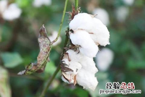 一年四季的农事有什么 你知道一年四季农民的农事的嘛