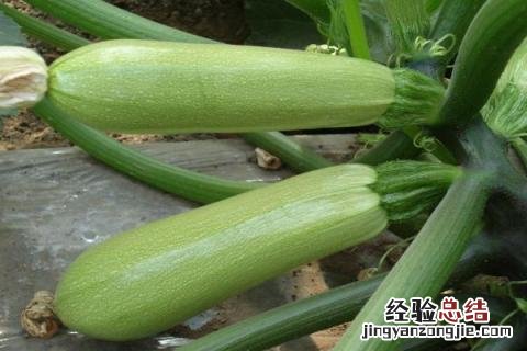 一年四季的农事有什么 你知道一年四季农民的农事的嘛