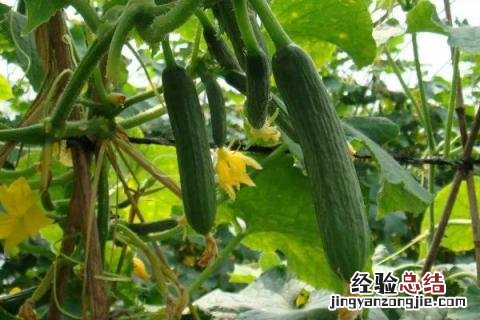 一年四季的农事有什么 你知道一年四季农民的农事的嘛