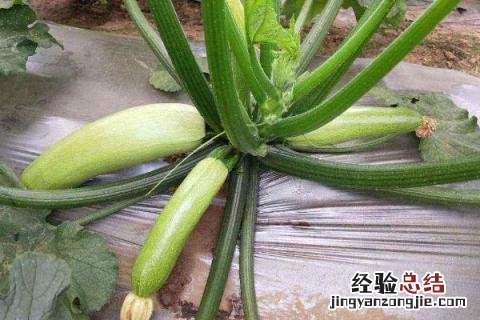 一年四季的农事有什么 你知道一年四季农民的农事的嘛