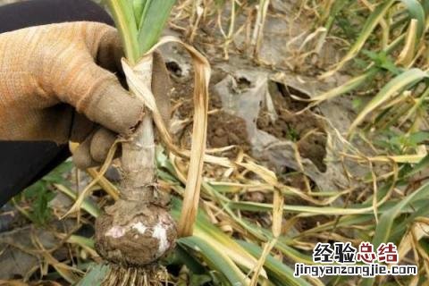 一年四季的农事有什么 你知道一年四季农民的农事的嘛