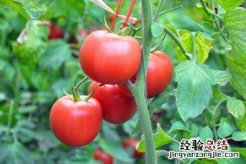 一年四季的农事有什么 你知道一年四季农民的农事的嘛