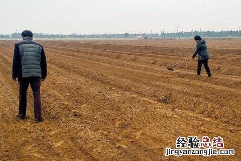 一年四季的农事有什么 你知道一年四季农民的农事的嘛