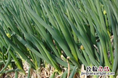 一年四季的农事有什么 你知道一年四季农民的农事的嘛
