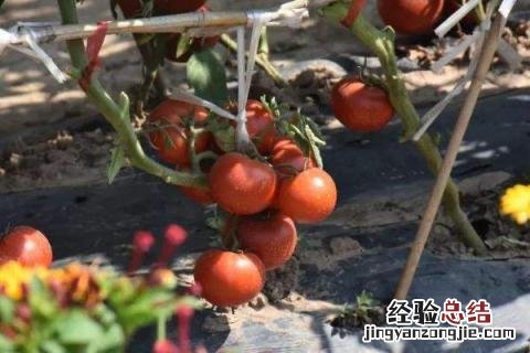 一年四季的农事有什么 你知道一年四季农民的农事的嘛
