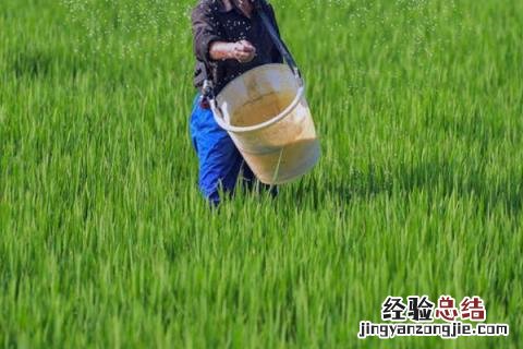 一年四季的农事有什么 你知道一年四季农民的农事的嘛