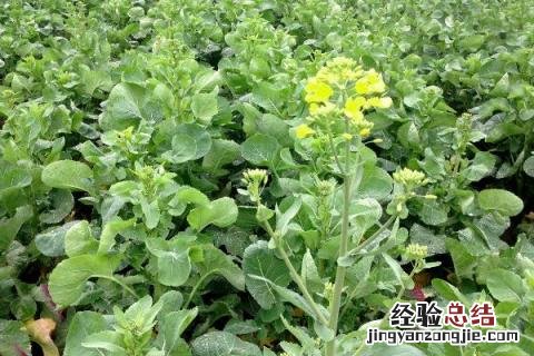 一年四季的农事有什么 你知道一年四季农民的农事的嘛