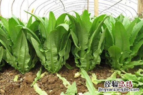 一年四季的农事有什么 你知道一年四季农民的农事的嘛