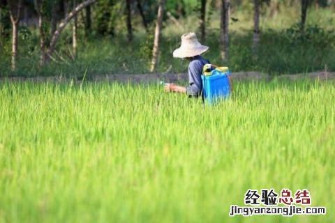 一年四季的农事有什么 你知道一年四季农民的农事的嘛