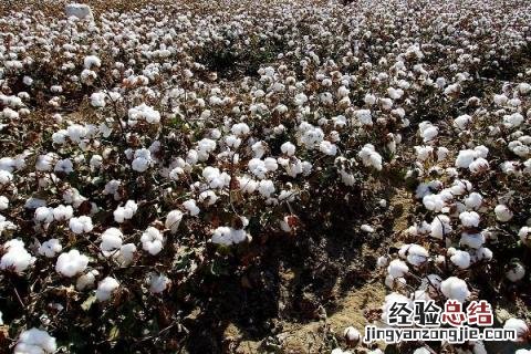 一年四季的农事有什么 你知道一年四季农民的农事的嘛