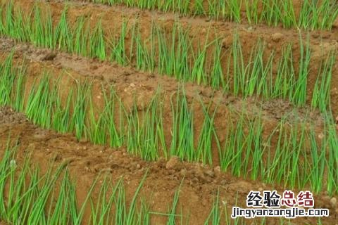 一年四季的农事有什么 你知道一年四季农民的农事的嘛