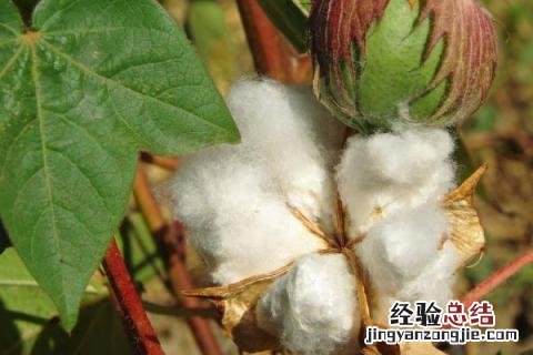 一年四季的农事有什么 你知道一年四季农民的农事的嘛