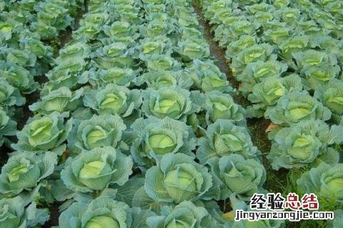 一年四季的农事有什么 你知道一年四季农民的农事的嘛