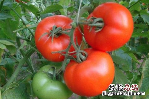 一年四季的农事有什么 你知道一年四季农民的农事的嘛