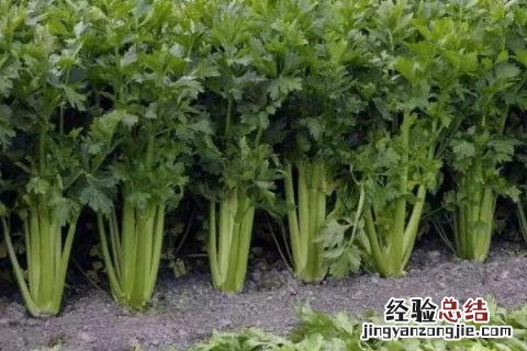 一年四季的农事有什么 你知道一年四季农民的农事的嘛