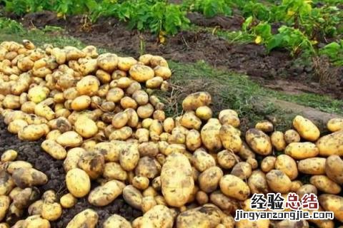 一年四季的农事有什么 你知道一年四季农民的农事的嘛