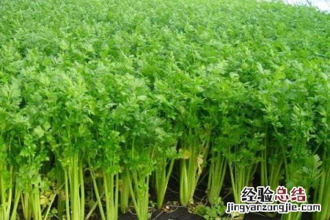 一年四季的农事有什么 你知道一年四季农民的农事的嘛