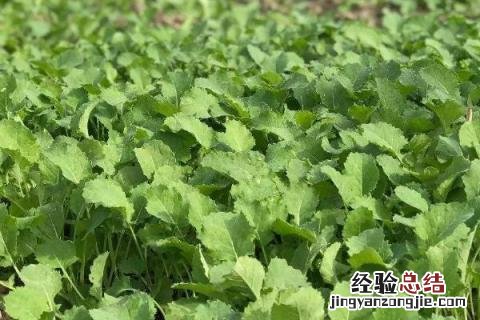 一年四季的农事有什么 你知道一年四季农民的农事的嘛