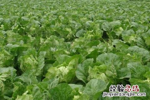 一年四季的农事有什么 你知道一年四季农民的农事的嘛