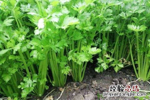 一年四季的农事有什么 你知道一年四季农民的农事的嘛