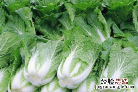 一年四季的农事有什么 你知道一年四季农民的农事的嘛