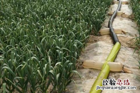 一年四季的农事有什么 你知道一年四季农民的农事的嘛