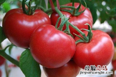 一年四季的农事有什么 你知道一年四季农民的农事的嘛