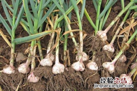 一年四季的农事有什么 你知道一年四季农民的农事的嘛